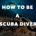 become a scuba diver