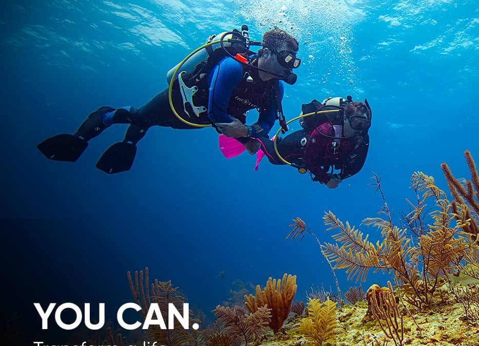 Change your life and be a PADI INSTRUCTOR IN INDONESIA