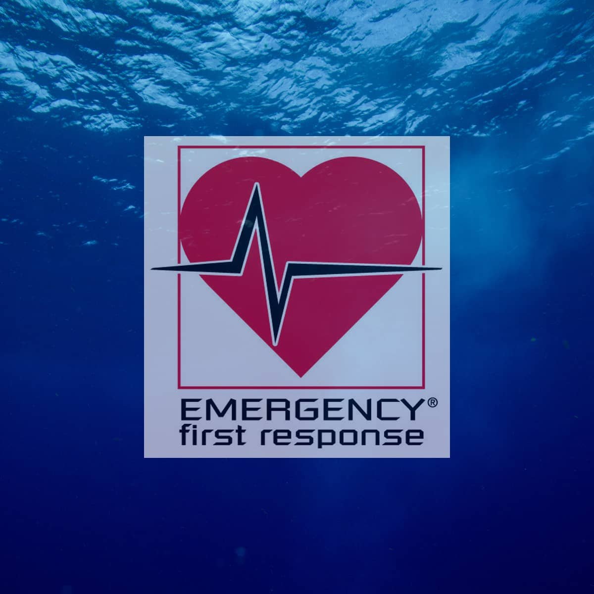EFR (1) efr 1