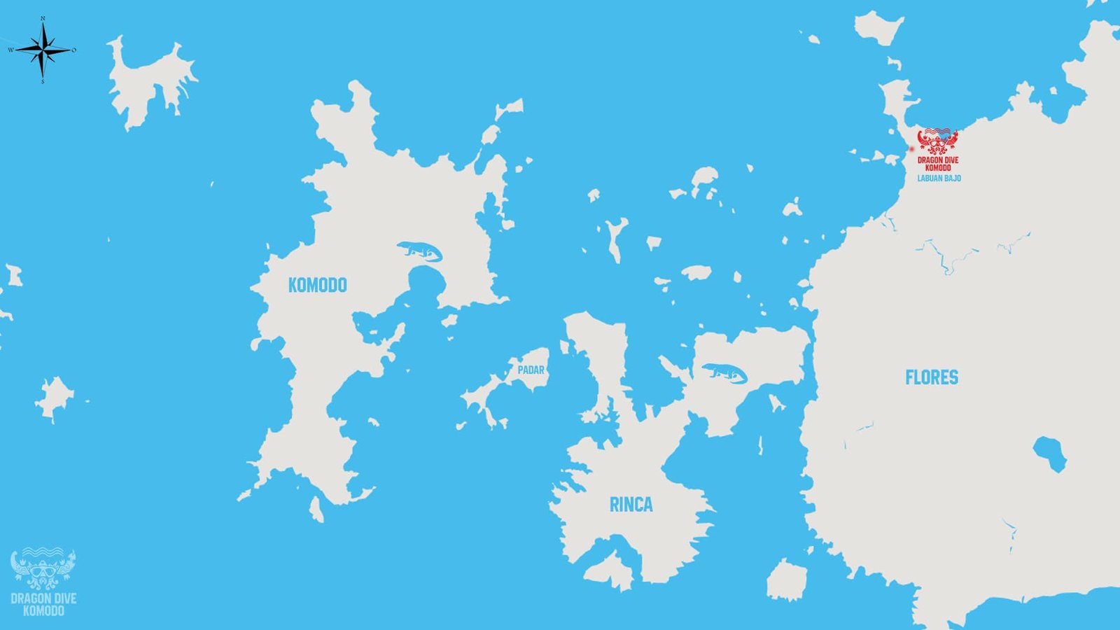 best dive sites komodo flores 1 best dive sites komodo flores 1