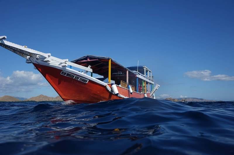 shiryu dragon dive snorkeling komodo