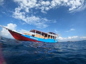 smaug dragon dive komodo 1 smaug dragon dive komodo