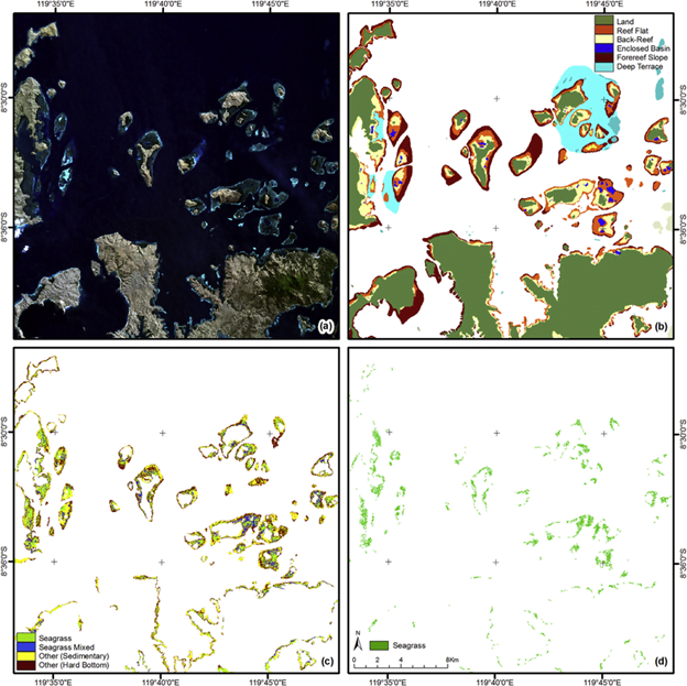 seagrass distribution central komodo seagrass distribution central komodo