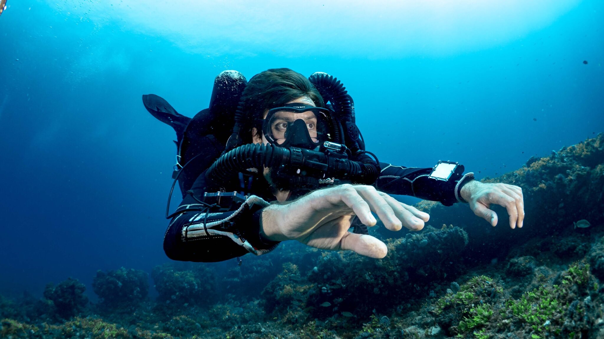 Dive the Depths of Komodo: A TDI Technical Diving Adventure | Dragon ...