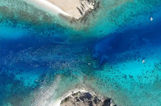 Plongée dérivante au site Le Chaudron (Shotgun) à Komodo