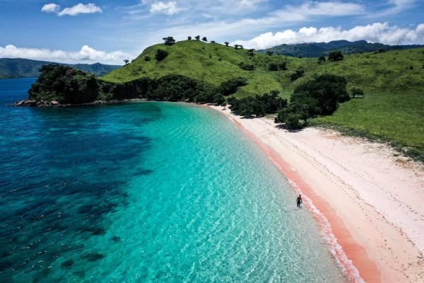 pink beach komodo pink beach komodo